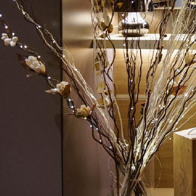 Assunta madre privé-04